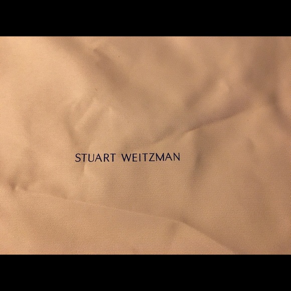 Stuart Weitzman Pink Large DUST BAG ONLY - Picture 2 of 10
